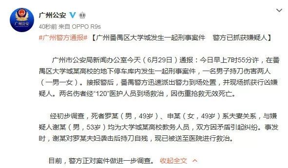 谢冬青最新动态，事业进展与个人成就一览